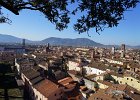 Lucca